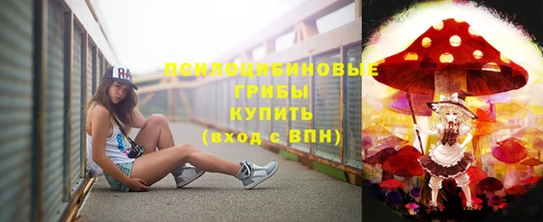 соль ск Абаза